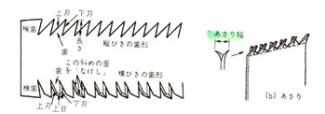Illustration showing the shape of the saw teeth. The teeth cut on the pull stroke so have a flat edge facing the user and the back of the tooth is curved or angled