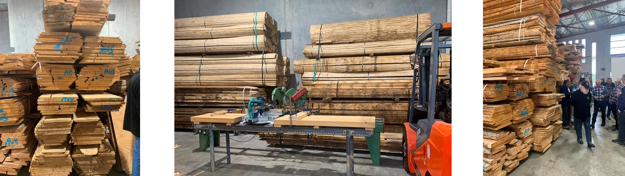 Composite photo of the visit showing three different stacks of timber