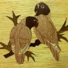 Photo of some cockatoos created using marquetry